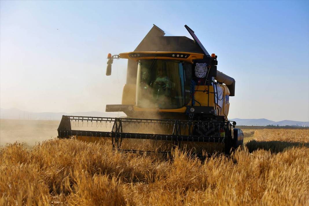 Yağmurdan sonra ortaya çıktı, tarla sahibi büyük şaşkınlık yaşadı! 1.80 metre uzunluğunda, sonunda makarna olacak 10